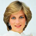 Logo saluran telegram dianaprincessofwales — Diana, Princess Of Wales 👸🏼