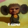 Логотип телеграм канала @dianasproofs — Пруфики Дианы