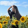 Логотип телеграм канала @dianazavr_steps — По стопам Дианазавра