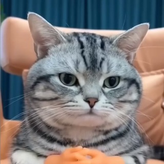 Логотип телеграм канала @diary_we1come32 — 🤬 Илюха завали ебало