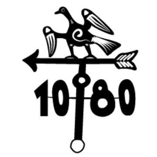 Логотип телеграм канала @diary1080 — Флюгер. 1080-й дневник