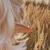 Логотип телеграм канала @diaryofanelf — Diary of an elf | Эльфийская эстетика и новости 🌙✨
