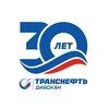 Логотип телеграм канала @diascan_transneft — Транснефть - Диаскан