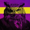 Логотип телеграм канала @dicamp_dicamp — Цифровой Кампус