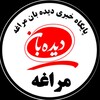 لوگوی کانال تلگرام didbanemaragheh_ir — پایگاه خبری تحلیلی دیدبان مراغه