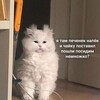 Логотип телеграм канала @didichkaaaa — ты смеялся там, теперь мы ловим ха-ха тут