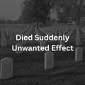 Logo saluran telegram died_suddenly — Died Suddenly/Unwanted Effect