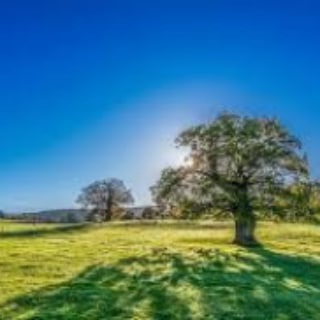 لوگوی کانال تلگرام dieneuegemeinschaft — Die neue Gemeinschaft