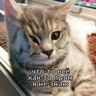 Логотип телеграм канала @difficult_psychologist — Трудный психолог