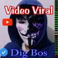 Logo saluran telegram digbosviral — Youtube Digbos