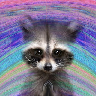 Логотип телеграм канала @digital_raccoon — Digital Raccoon