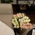 لوگوی کانال تلگرام dii3l — ارتِواء.