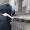 Логотип телеграм канала @diinana1 — .