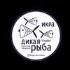 Логотип телеграм канала @dikayaribachehov — «ДИКАЯ РЫБА»
