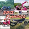 Логотип телеграм канала @dikieflamingo — Дикие фламинго