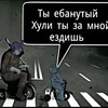Логотип телеграм канала @dikimultyaa — дикий Визер🎯