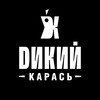 Логотип телеграм канала @dikiykaras — Дикий карась