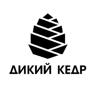 Логотип телеграм канала @dikiykedr — Кедровый напиток ДИКИЙ КЕДР