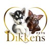 Логотип телеграм канала @dikkens_pets — ПИТОМНИК | ПОМСКИ ЩЕНКИ | ОРИЕНТАЛЬНЫЕ КОТЯТА
