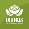 Логотип телеграм канала @diknus — Diknus