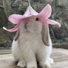 Логотип телеграм канала @dikointeresnayabriroda — Дико Интересная Природа