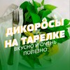 Telegram channel Дикоросы на тарелке🌿 logo