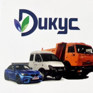 Логотип телеграм канала @dikusavto — Переоборудовние авто