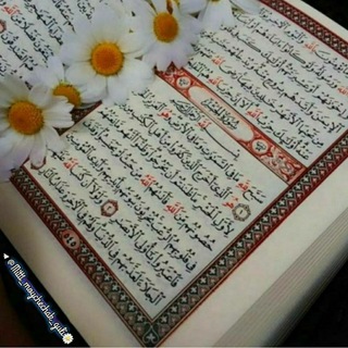 Telegram channel 🌼DIL DAFTARIM🌼 logo