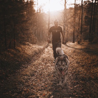 Логотип телеграм канала @dima_and_grey — Походы с Димой и Греем, хайкинг/трекинг.