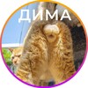 Логотип телеграм канала @dimaballson — ДимаБоллсон / DimaBallson