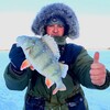 Логотип телеграм канала @diman_rybalka — Диман Рыбалка