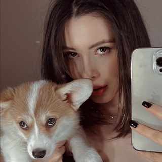 Логотип телеграм канала @dina_007x — Дина вещает