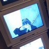 Логотип телеграм канала @dinabluat — Dinagraa шарит ฅ^•ﻌ•^ฅ