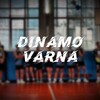 Логотип телеграм канала @dinamovarna — 𝔇𝔦𝔫𝔞𝔪𝔬-𝔙𝔞𝔯𝔫𝔞