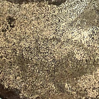 Логотип телеграм канала @dinobone — DinoBone