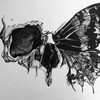 لوگوی کانال تلگرام dior_52 — dead butterflies_Hes&Milash