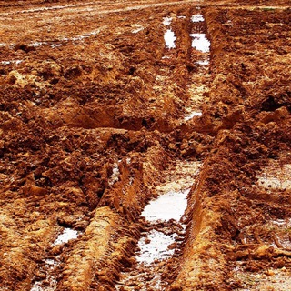 Логотип телеграм канала @diplomaticheskaya_gryaz — Дипломатическая грязь