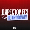 Логотип телеграм канала @director_ege_el — Директор ЕГЭ по профилю