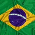 Logo saluran telegram direitabrasil2 — DIREITA BRASIL 🇧🇷
