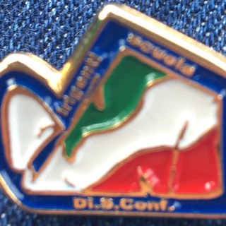 Telegram channel DIRIGENTISCUOLA logo
