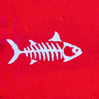 Логотип телеграм канала @disafish — Рыба Оптом