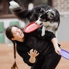 Логотип телеграм канала @discdogs — Дог-фризби с Маргаритой Герман | бкфест