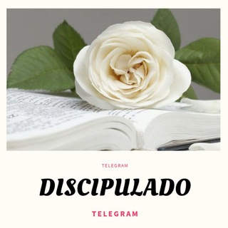 Logotipo do canal de telegrama discipuladofeminino - 🌷 DISCIPULADO FEMININO