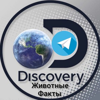 Логотип телеграм канала @discovery_animal — Discovery | Животные | Факты