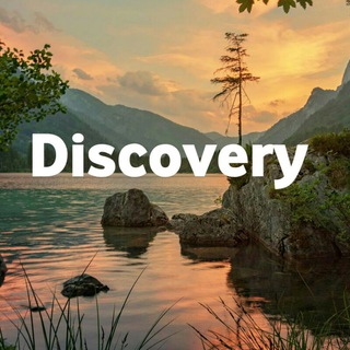 Логотип телеграм канала @discovery_officiai — DiscoVery