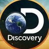 Logo of telegram channel discoveryb — Discovery Science 🧬