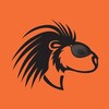 Логотип телеграм канала @discoveryzoo — Живая природа 🍀