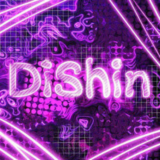 Логотип телеграм канала @dishinsliv — DISHIN | SO2🎡