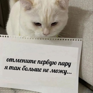 Логотип телеграм канала @dismissed_foodie — Студенческая каша