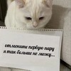 Логотип телеграм канала @dismissed_foodie — Студенческая каша
